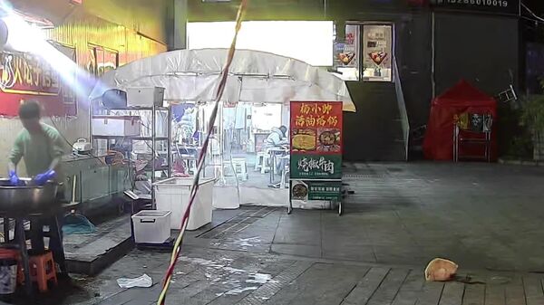 Merci pour la gamelle: ce chat errant évite un grave accident à son homme - Sputnik Afrique