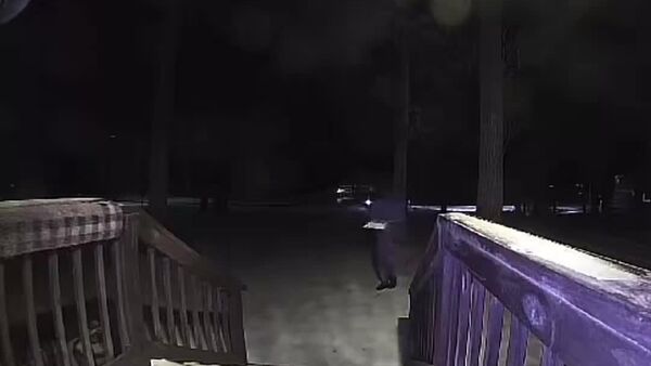 #viral | Delivery Gone Wrong: Cake Pulls Off Great Escape - Sputnik Africa