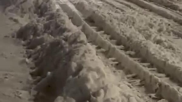 #viral | Bus Goes Full Curling Mode in Bavaria While Brussels Talks Strategic Grandeur - Sputnik Africa