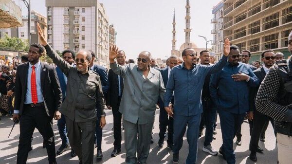 ‘Horn of Africa Brothers’ Greet Residents of Ethiopia’s Jigjiga City - Sputnik Africa