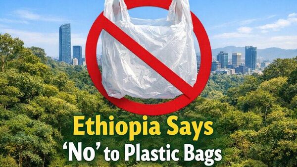 ‘Reject Plastics, Protect Future’: Ethiopia Bans Single-Use Plastic Bags, Official Announces - Sputnik Africa