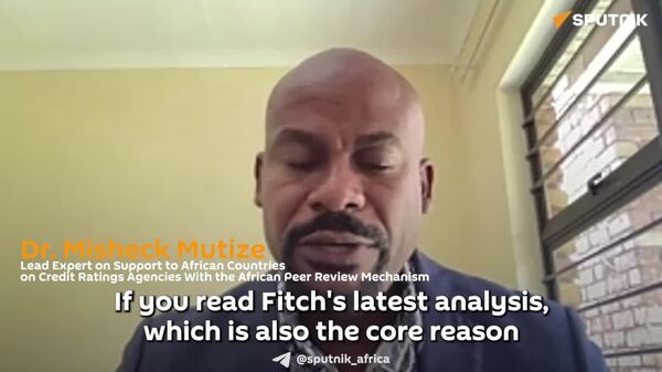 Afreximbank's Exit From Fitch is Move Against 'Market Distortion,' Says South African Analyst - Sputnik Africa