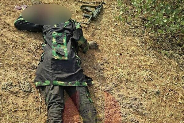 Nigerian Troops Eliminate Top Boko Haram Commander in Night Raid, Army Says Nigerian Troops Eliminate Top Boko Haram Commander in Night Raid, Army Says - Sputnik Africa