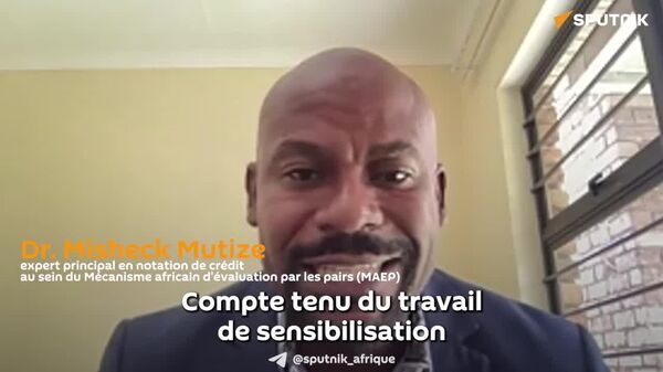 L’Afrique peut contrer les biais des agences de notation occidentales, explique un économiste - Sputnik Afrique