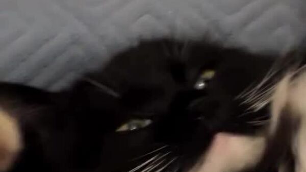 #viral | 'Bro is Struggling to Balance the World' - Sputnik Africa