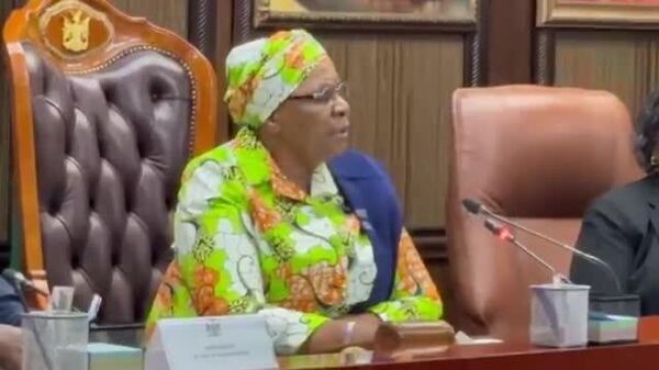 Namibia's President Warns of Global Uncertainty, Calls for Principled Leadership - Sputnik Africa