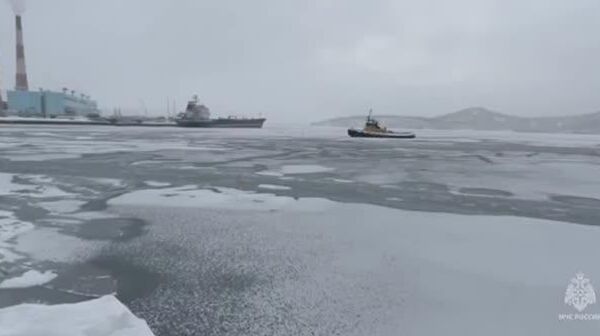 Un sauvetage spectaculaire sur un radeau de glace en Russie - Sputnik Afrique