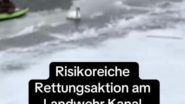 #viral | Two Berliners Rescue Swan Trapped in Ice: Media - Sputnik Africa