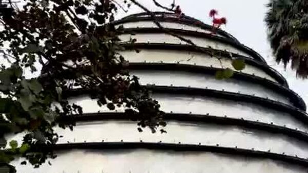 Rwanda’s Security Threat Comes From Armed Militias in Congo: Kagame - Sputnik Africa