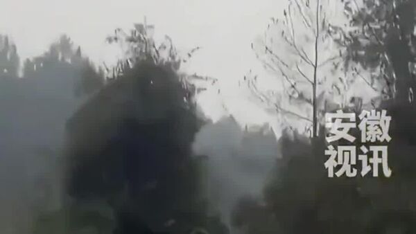 #viral | Story of Farmer Using Drone to Transport Pigs & Leaving Entire Village Without Power Goes Viral - Sputnik Africa