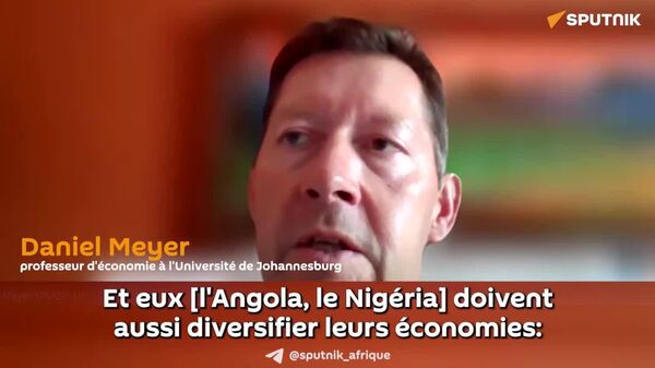 Les économies africaines doivent être évaluées séparément, non à l'échelle continentale, selon un économiste sud-africain - Sputnik Afrique