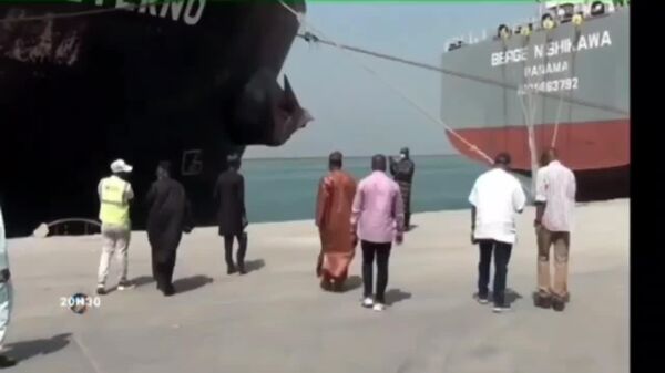 Wheat, Fertilizer, Promising Agreements, Security Aid: Russian Ambassador in Niamey on Russia-Niger Ties - Sputnik Africa