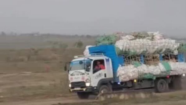 Le Kenya a officiellement repris le commerce transfrontalier de khat avec la Somalie - Sputnik Afrique