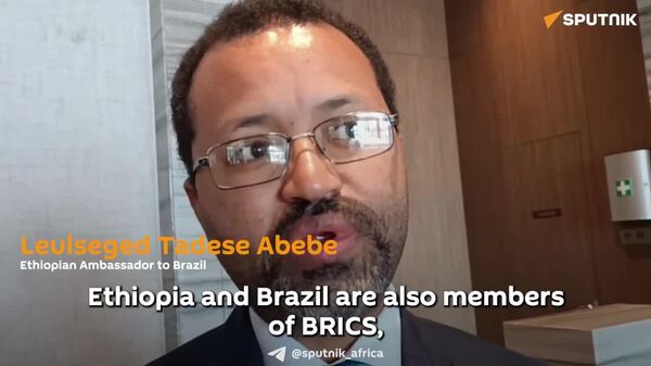 BRICS Always Has Constructive and Positive Intentions, Says Ethiopian Ambassador to Brazil - Sputnik Africa