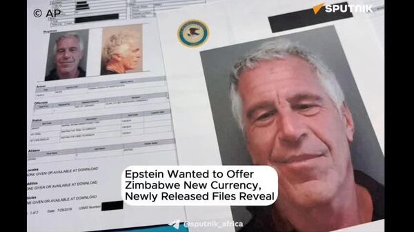 Epstein Wanted to Give Zimbabwe New Currency, Released Files Reveal - Sputnik Africa