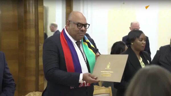 Le ministre des Affaires étrangères de Tanzanie a transmis un message du Président de son pays à Poutine lors de sa rencontre avec Lavrov - Sputnik Afrique