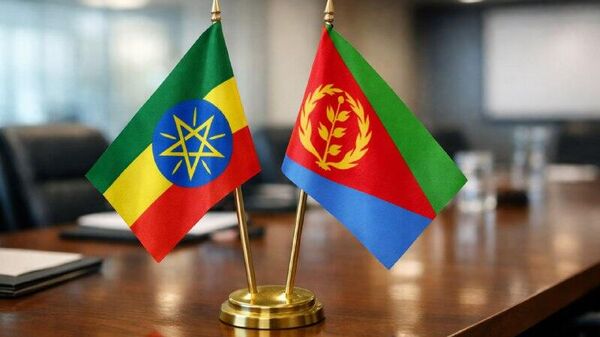 Éthiopie-Érythrée: Asmara réagit aux accusations d'Addis-Abeba - Sputnik Afrique