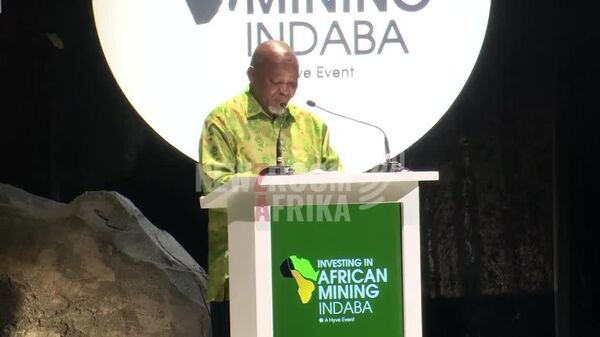 Africa Must Speak ‘With One Voice’ on Its $39 Trillion Mineral Wealth, Says South African Minister - Sputnik Africa