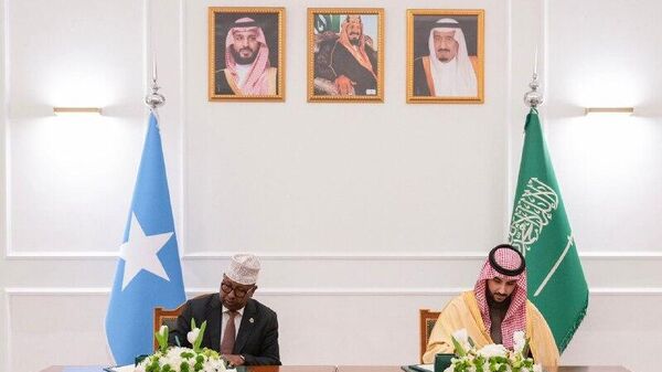 Somalia and Saudi Arabia Sign Defense Cooperation Agreement to Bolster Red Sea Security: Ministry - Sputnik Africa