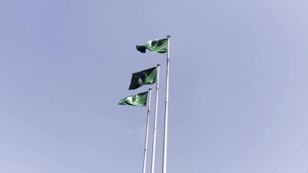 AU Executive Council to Review G20 Strategy, Key Reports at Pre-Summit Session, Says AU Commission - Sputnik Africa