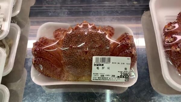 Au Japon, les fruits de mer sont si frais qu'il faut parfois les surveiller de près pour éviter qu'ils ne s'échappent - Sputnik Afrique