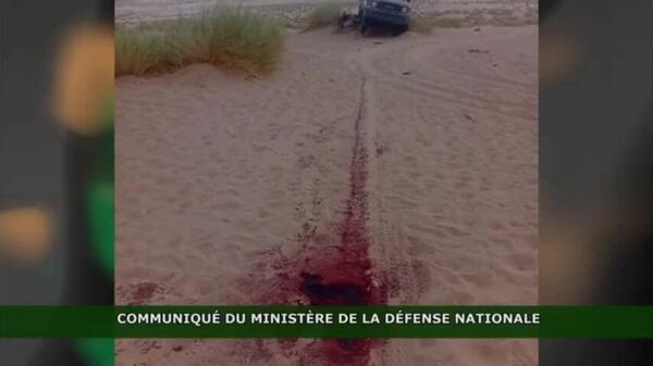 L’armée du Niger repousse une attaque contre des installations pétrolières et élimine des assaillants - Sputnik Afrique