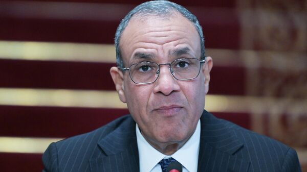 The Second Ministerial Conference of the Russia-Africa Partnership Forum in Cairo - Sputnik Africa