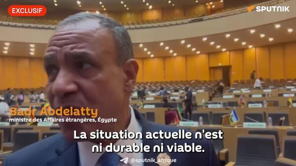 Nous devons mettre fin à l'injustice historique subie par l'Afrique - chef de la diplomatie égyptienne - Sputnik Afrique