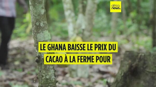 Le Ghana baisse le prix du cacao à la ferme - Sputnik Afrique