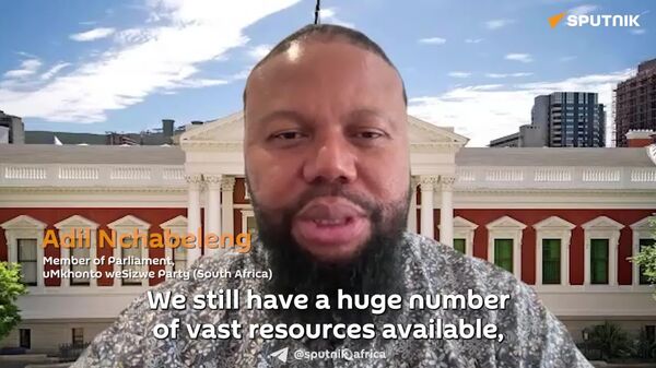 South Africa’s Mineral Resources Must Drive 'Economic Miracle': MP - Sputnik Africa