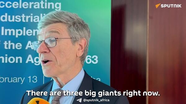 'It's Africa's Turn to Be Supercharged in Terms of Economy': Analyst - Sputnik Africa