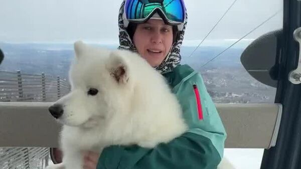 #viral | Better Together: Woman Takes Her Dog Skiing in Backpack - Sputnik Africa