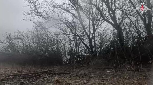 Des obusiers russes Msta en action contre les positions ukrainiennes - Sputnik Afrique