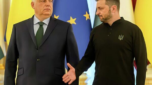 Zelensky s'attaque à Orban pour plaire à Bruxelles, mais l’UE reste fermée à Kiev, selon un analyste - Sputnik Afrique