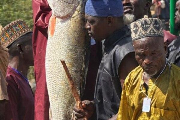 Le festival de pêche d'Argungu au Nigéria fait un retour fracassant après des années d'interruption - Sputnik Afrique