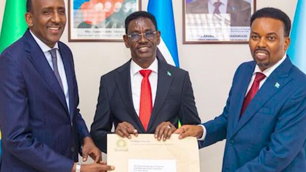 La Somalie a obtenu l'autorisation de délivrer des passeports de la Communauté d'Afrique de l'Est à ses concitoyens - Sputnik Afrique