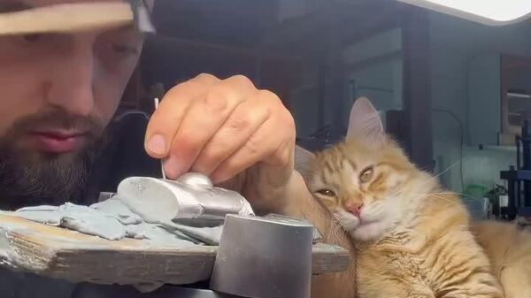 #viral | Working Hand in Paw - Sputnik Africa