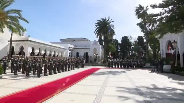 Algeria–Niger Thaw: Trans-Saharan Gas Pipeline Back on Track - Sputnik Africa