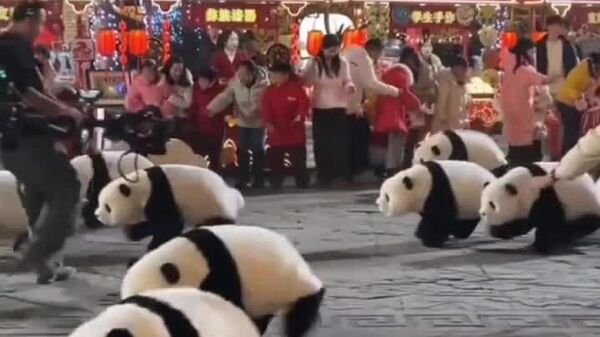 Des pandas robots envahissent les rues pendant les célébrations du Nouvel An chinois - Sputnik Afrique
