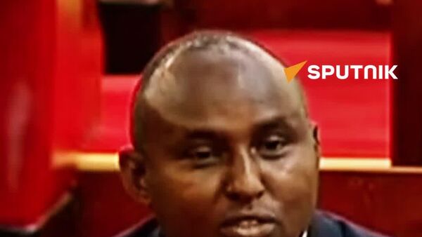 'Addis Ababa is the New Dubai of Africa': Kenyan MP - Sputnik Africa