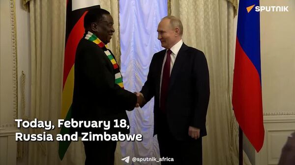 Zimbabwe and Russia Celebrate 45 Years of Diplomatic Relations - Sputnik Africa