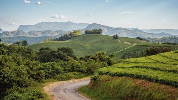 Zimbabwe Slashes Tourism Licensing Fees to Boost Investment and Regional Competitiveness: Media - Sputnik Africa