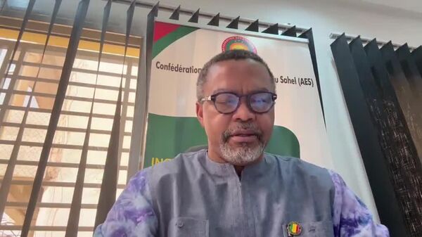 La France gèle les biens de Franklin Nyamsi pour atteinte à la nation française - Sputnik Afrique