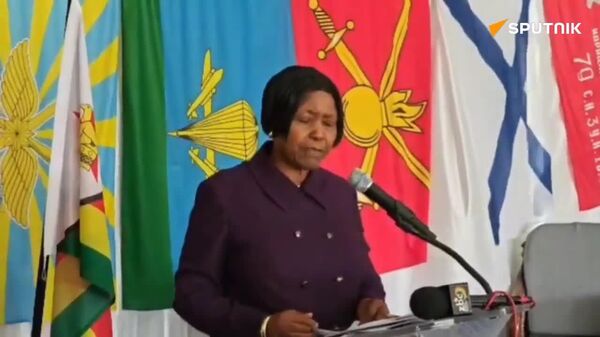 Defender of the Fatherland Day: Zimbabwe Reaffirms Strategic Defence Ties With Russia - Sputnik Africa