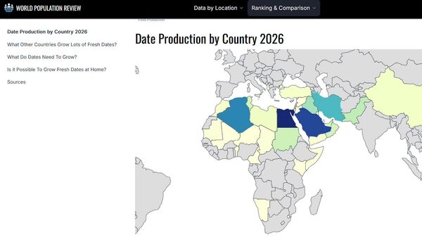 Deux pays africains sur le podium des premiers producteurs de dattes - Sputnik Afrique