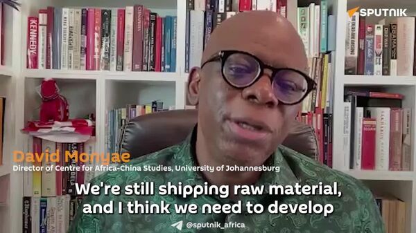 South Africa Needs to Take Advantage of Richness in Both Minerals & Agricultural Sector: Professor - Sputnik Africa