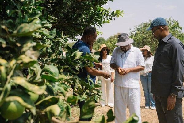 L’Éthiopie renforce sa souveraineté alimentaire grâce à une réforme axée sur l'irrigation - Sputnik Afrique