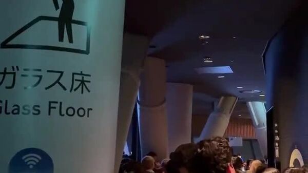 Coincés dans le vide: le cauchemar de touristes au sommet de la tour Tokyo Skytree - Sputnik Afrique
