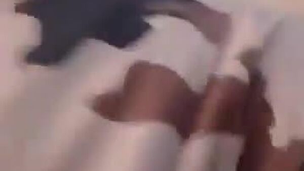 Chad Closes Border With Sudan Amid Rebels' Cross-Border Incursions, Government Says - Sputnik Africa