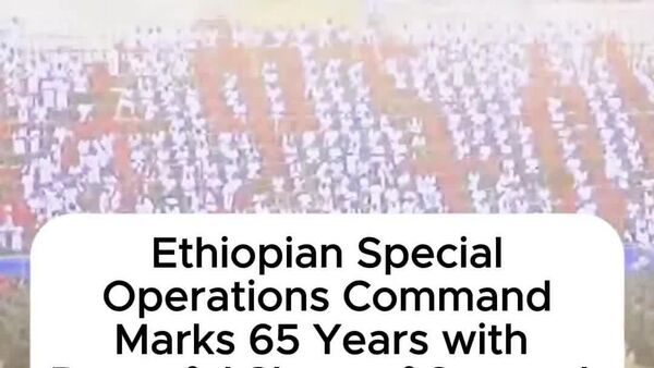 Ethiopia's Elite Force to Be Africa's Shield, Says PM Abiy - Sputnik Africa